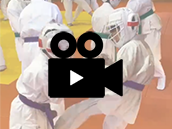 勇征会ギャラリー写真